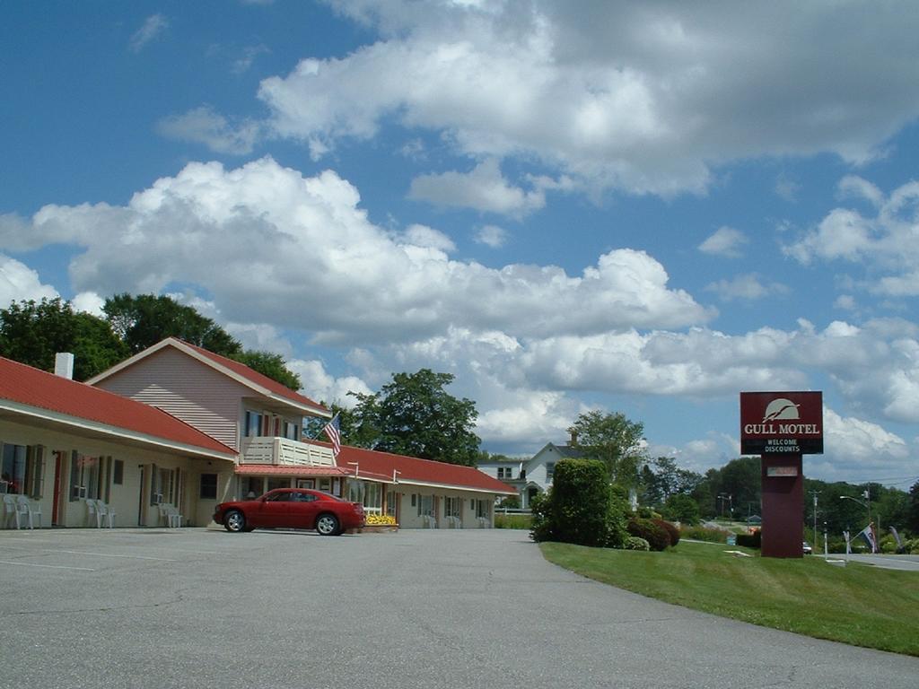 The Gull Motel, Belfast Extérieur photo