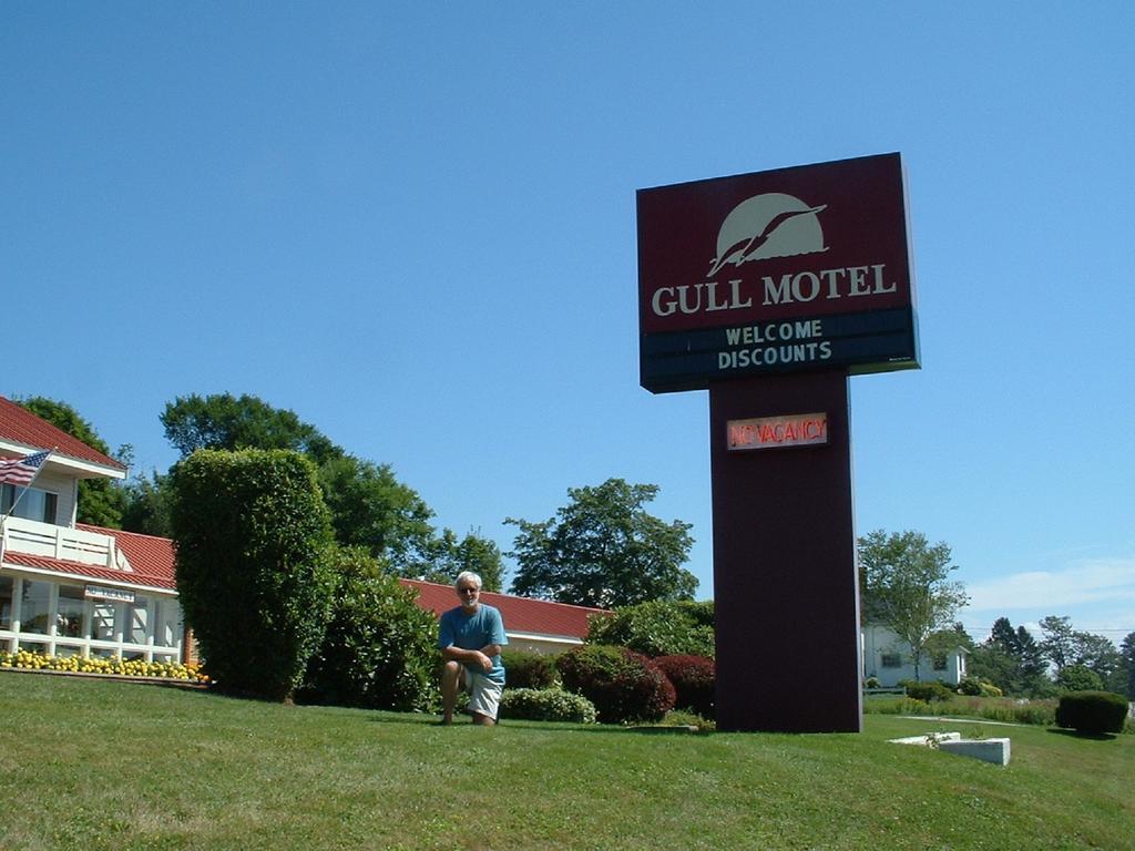 The Gull Motel, Belfast Extérieur photo