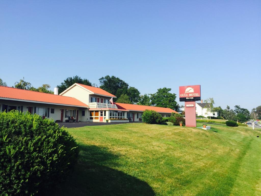 The Gull Motel, Belfast Extérieur photo