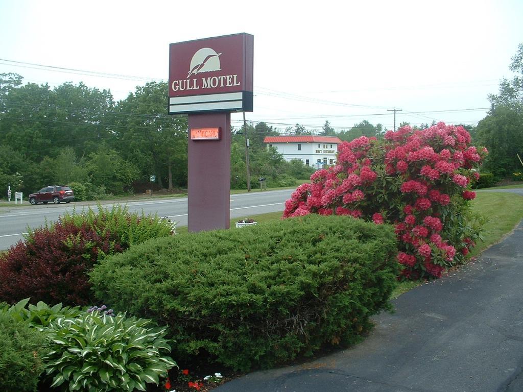 The Gull Motel, Belfast Extérieur photo